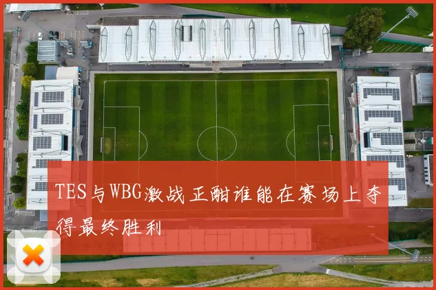 TES与WBG激战正酣谁能在赛场上夺得最终胜利
