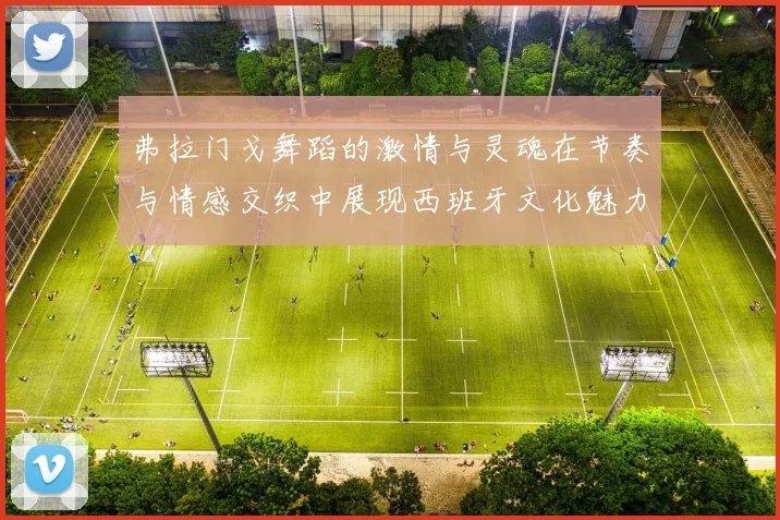 弗拉门戈舞蹈的激情与灵魂在节奏与情感交织中展现西班牙文化魅力