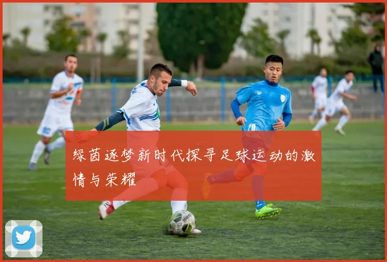 绿茵逐梦新时代探寻足球运动的激情与荣耀