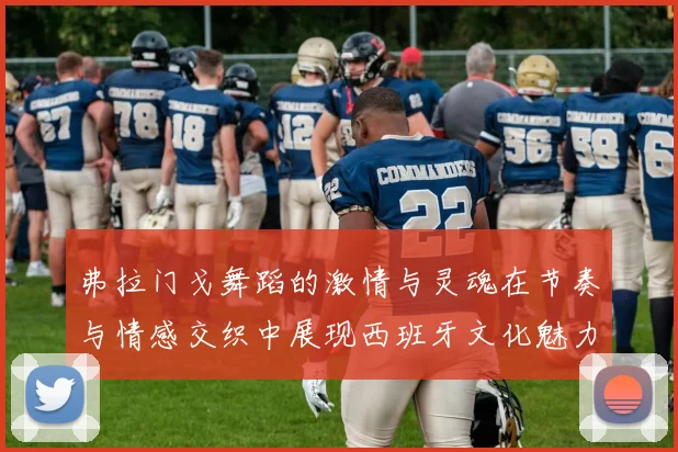 弗拉门戈舞蹈的激情与灵魂在节奏与情感交织中展现西班牙文化魅力
